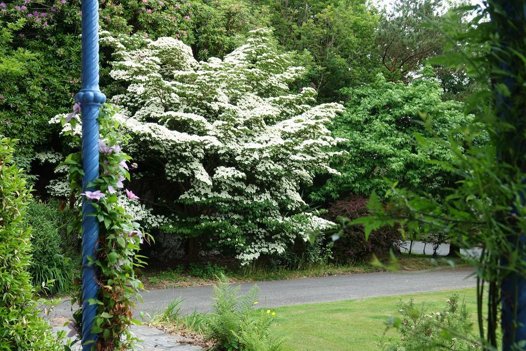 Borthwnog Hall Dolgellau Dış mekan fotoğraf