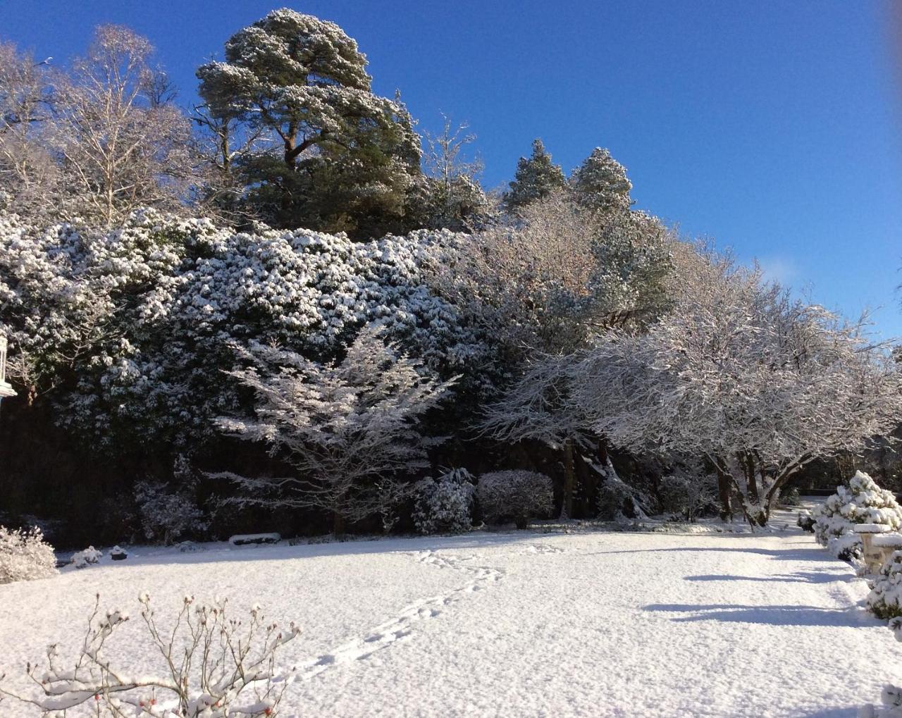 Borthwnog Hall Dolgellau Dış mekan fotoğraf