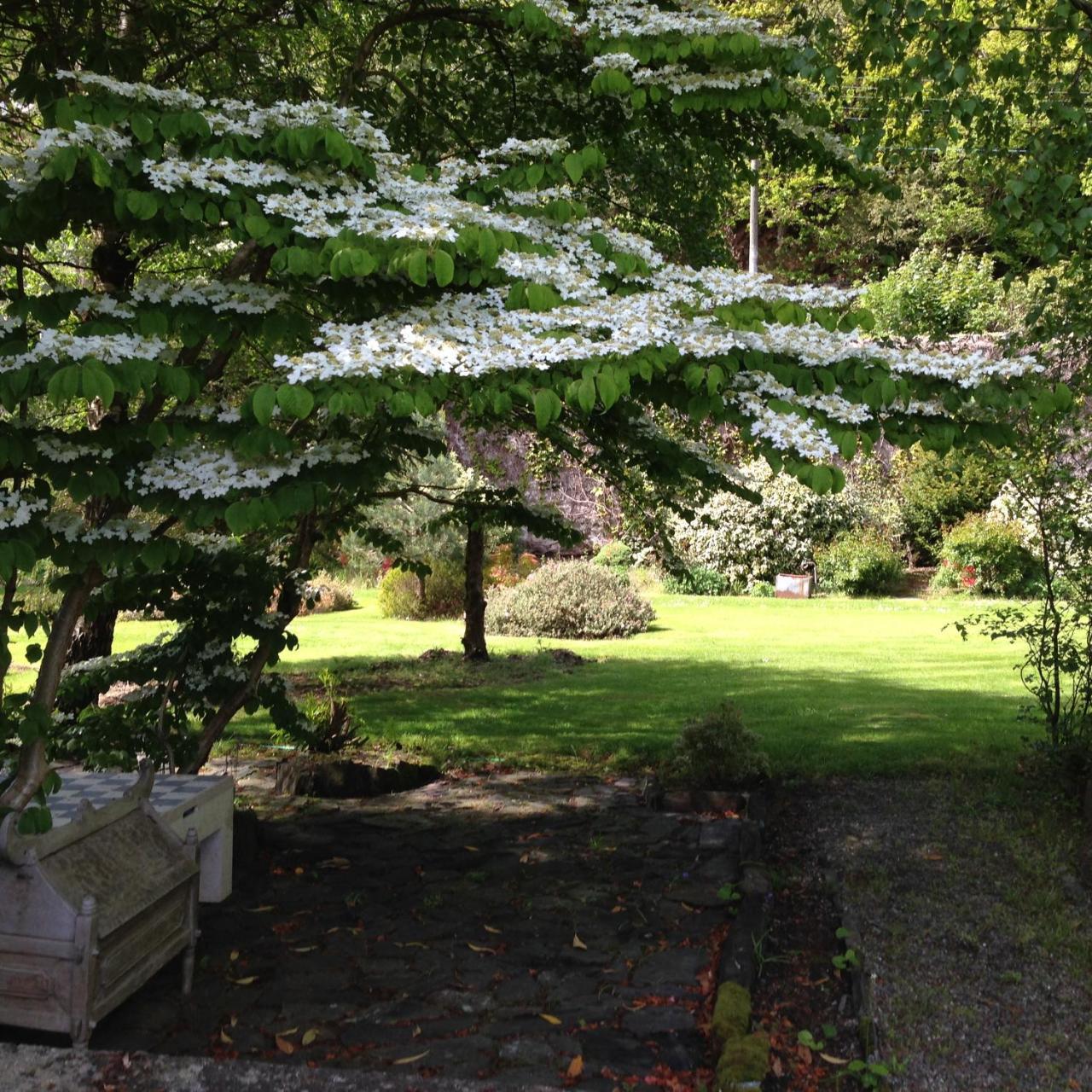 Borthwnog Hall Dolgellau Dış mekan fotoğraf